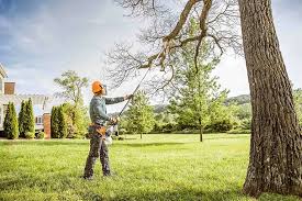 Best Tree Preservation Services  in Copperopolis, CA