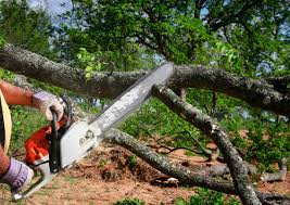 Best Utility Line Clearance  in Copperopolis, CA